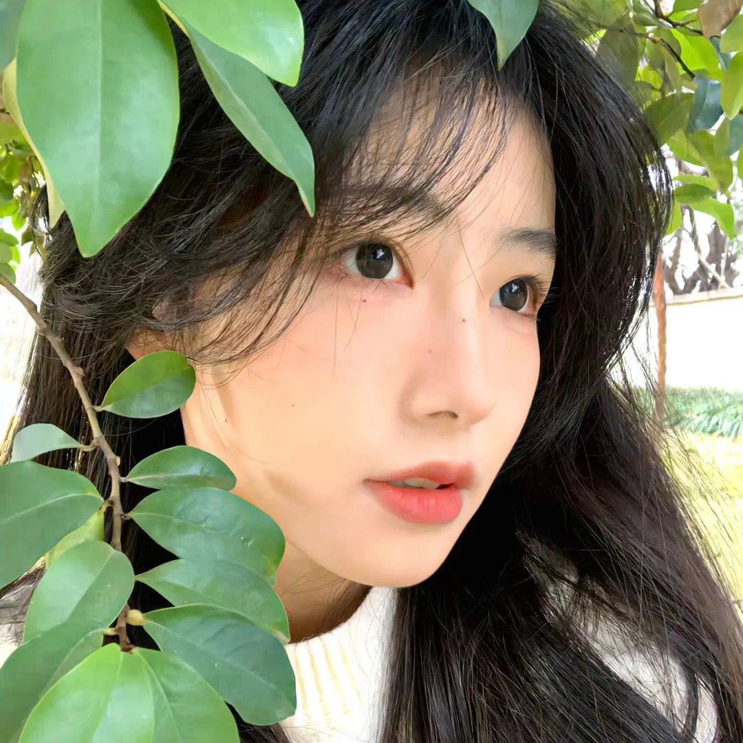天才第一季